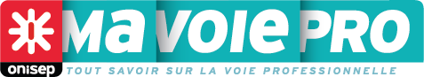 logo vp