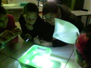 Lors du premier atelier, nous avons étudié le spectre de la lumière blanche.
