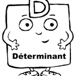 determinant_nb