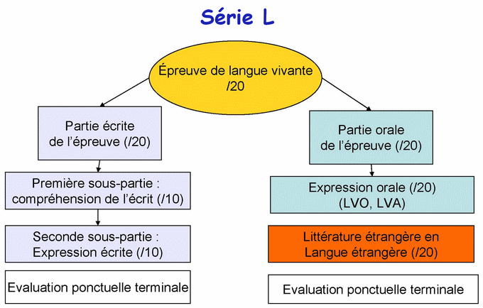 structure_serie_l