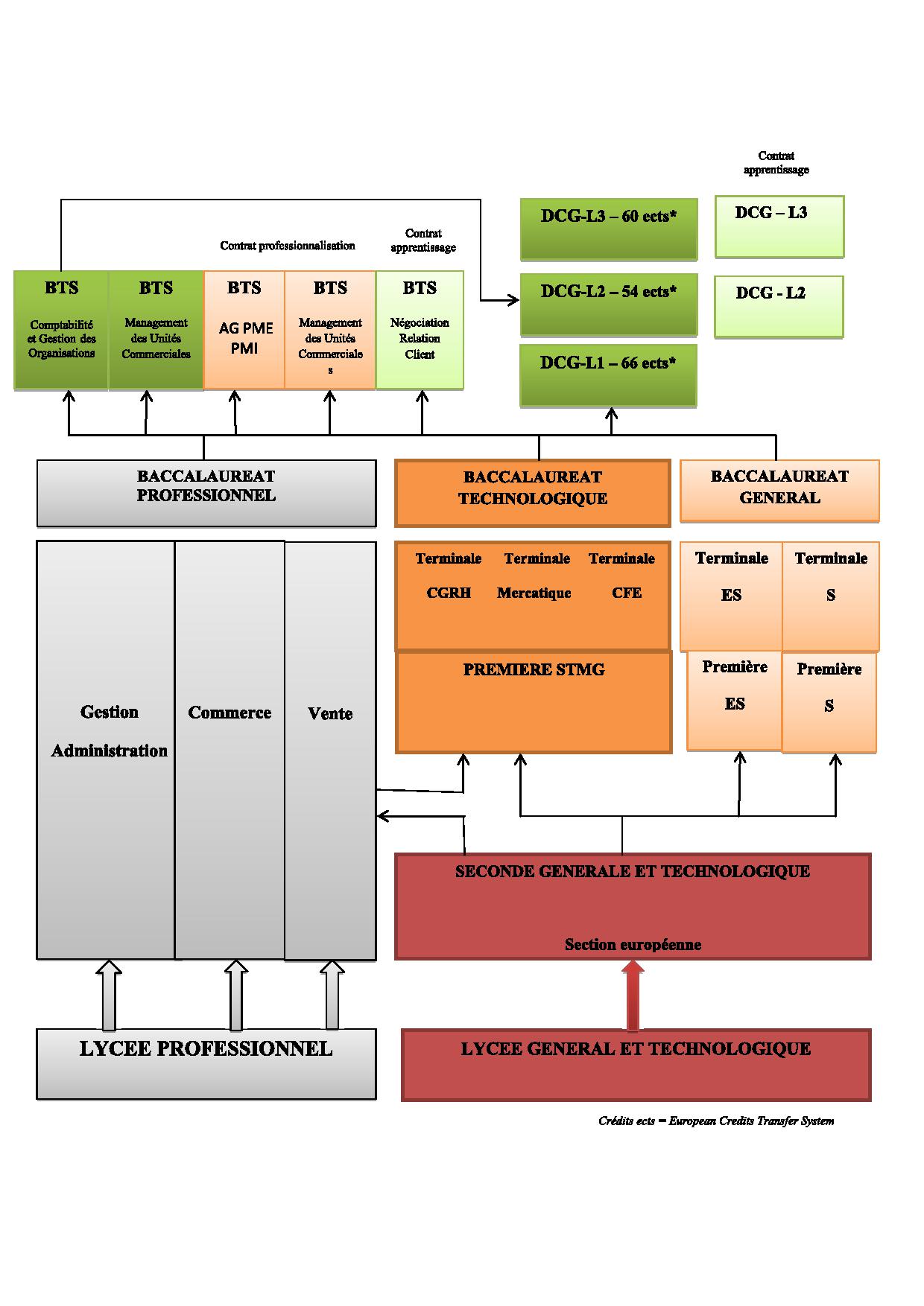 organigramme des formations