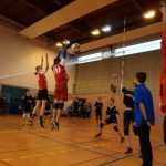 section volley 4