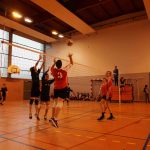section volley
