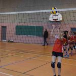 section volley 9