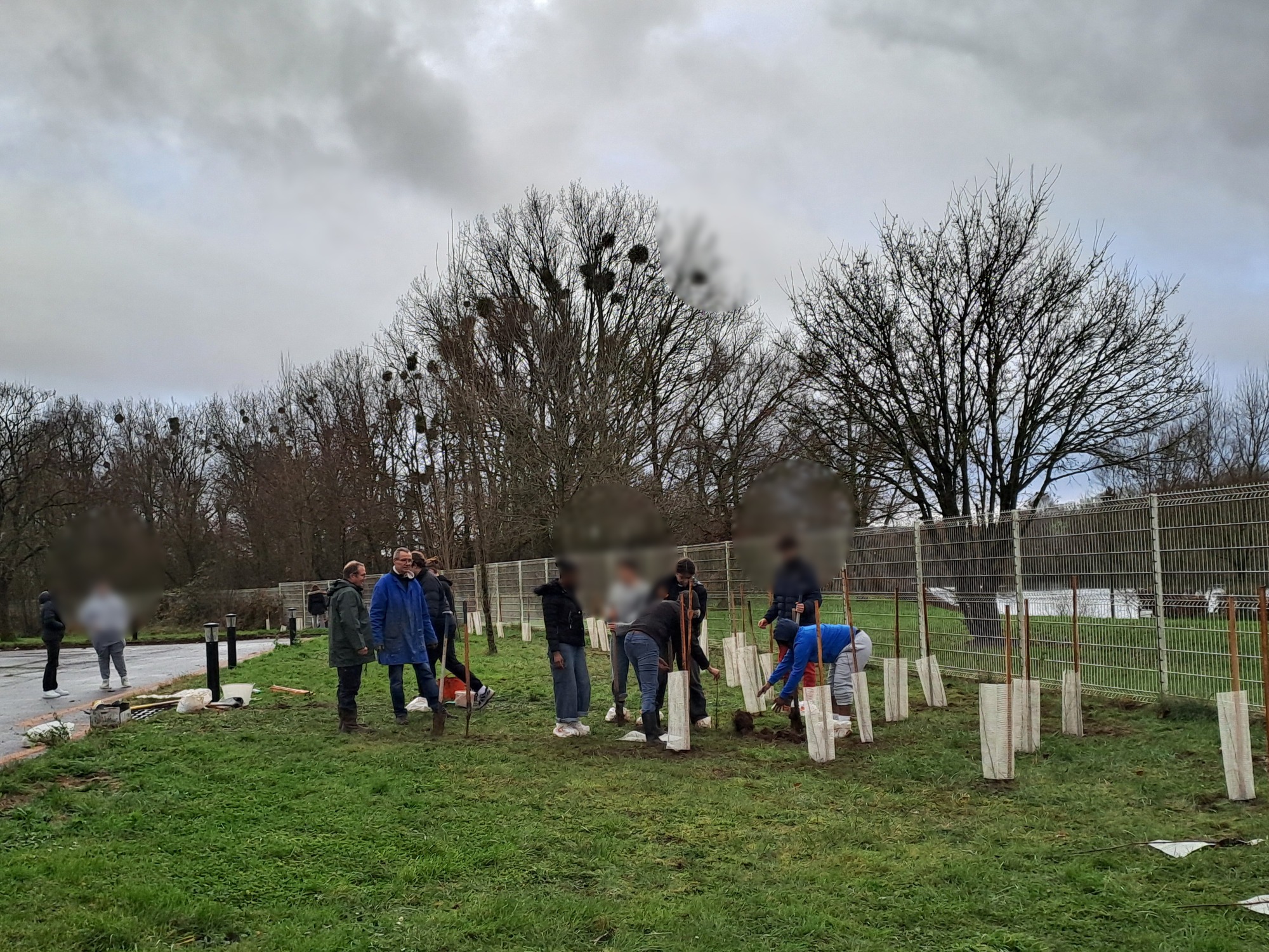 Plantation de la haie  biodiversité